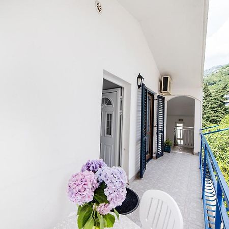 Apartments Vila Nikolic Рафаиловичи Экстерьер фото